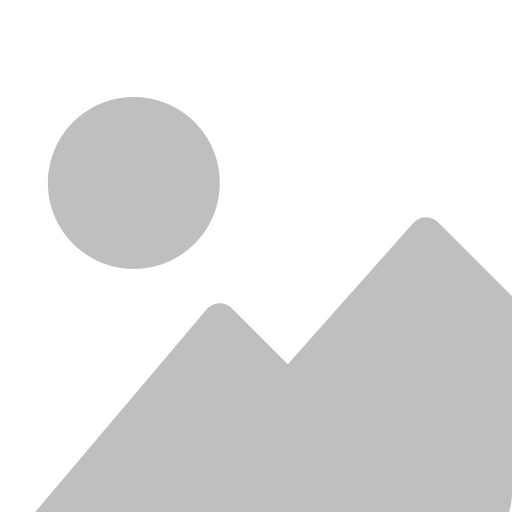 Master Pest Termite